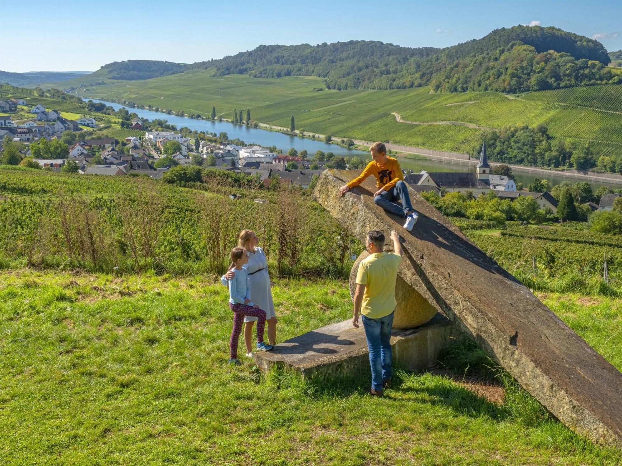 Appartements Im Weingut Frieden-Berg Nittel Esterno foto
